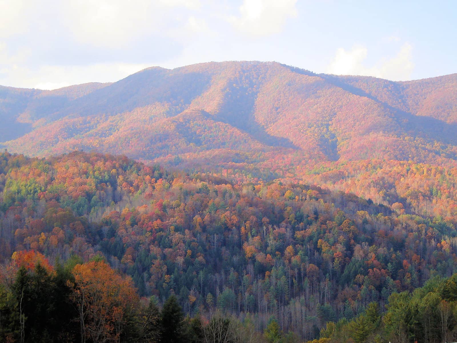 Asheville in the fall