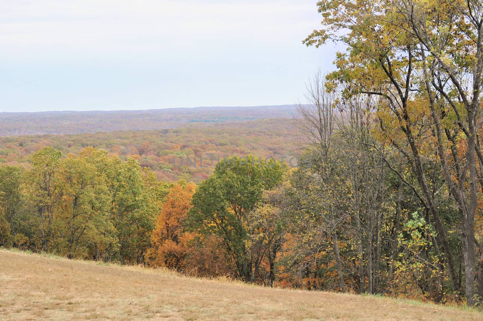 Brown County State Park