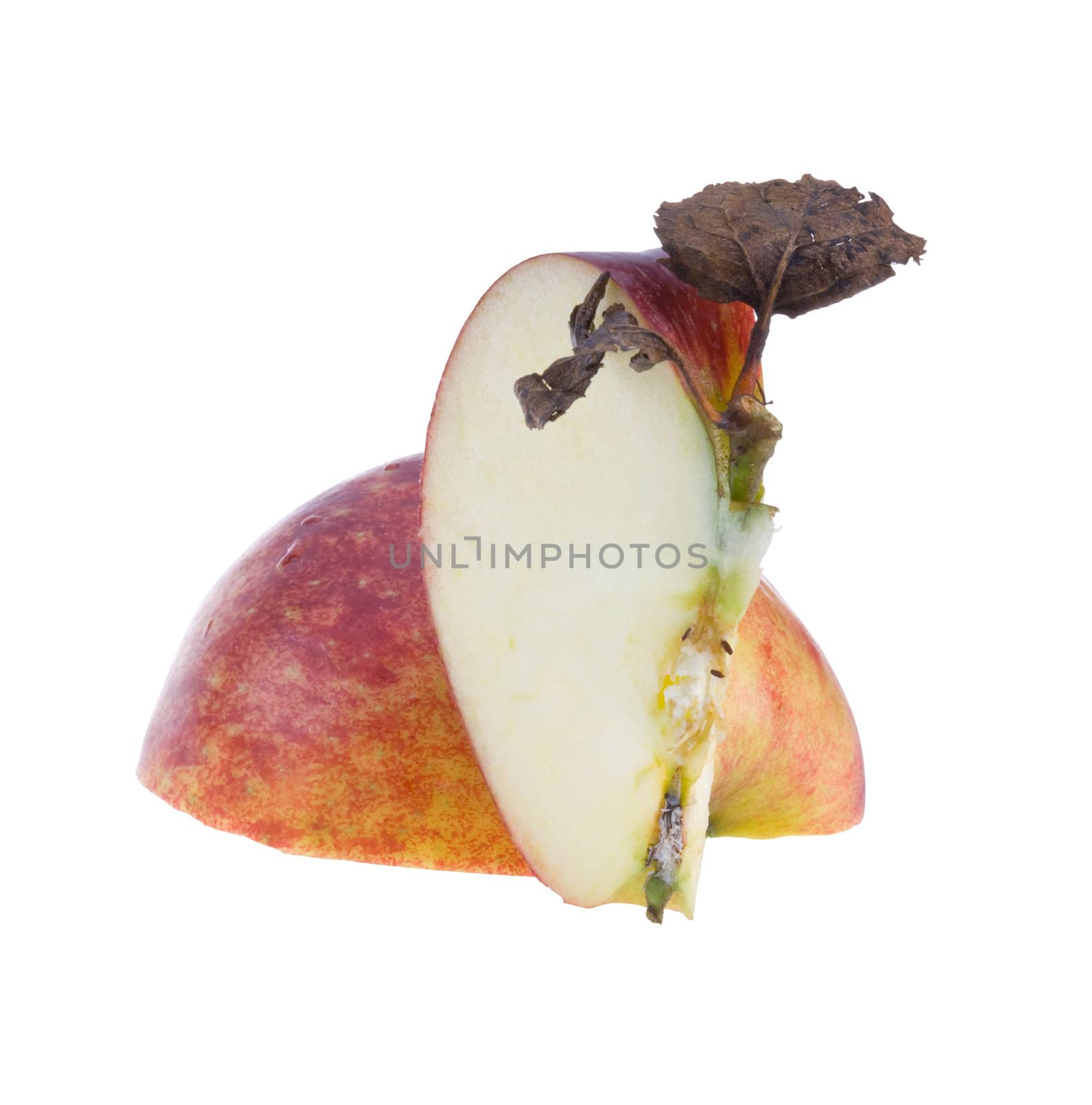 Red apple with dry leaf isolated. Clipping path