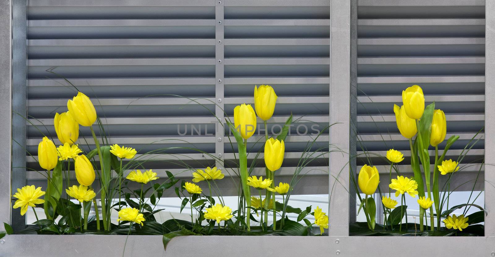 Yellow flowers near the metal ventilation grilles