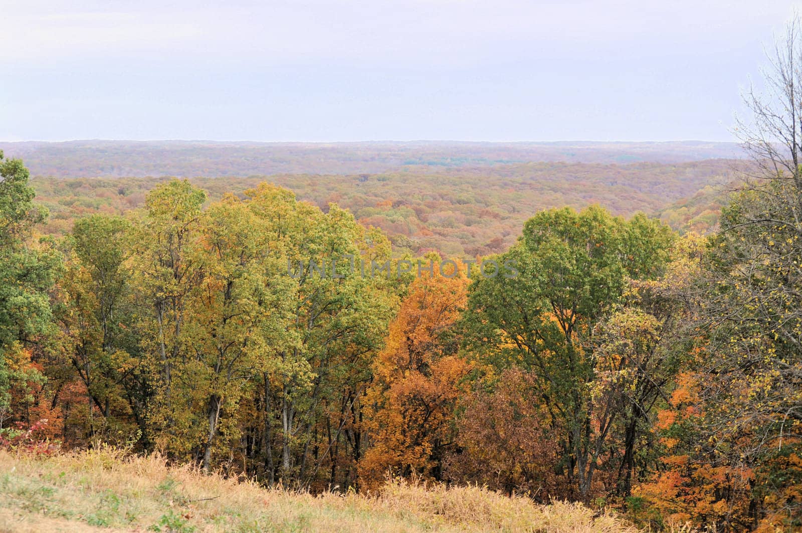 Brown County State Park