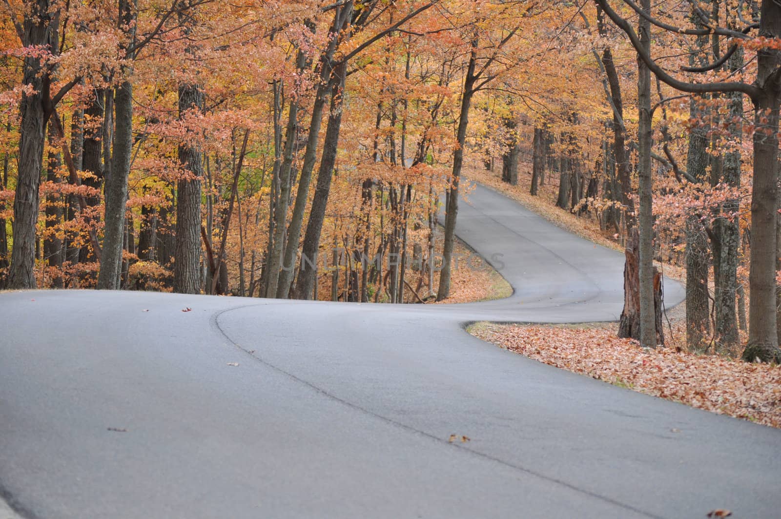 Brown County State Park by RefocusPhoto