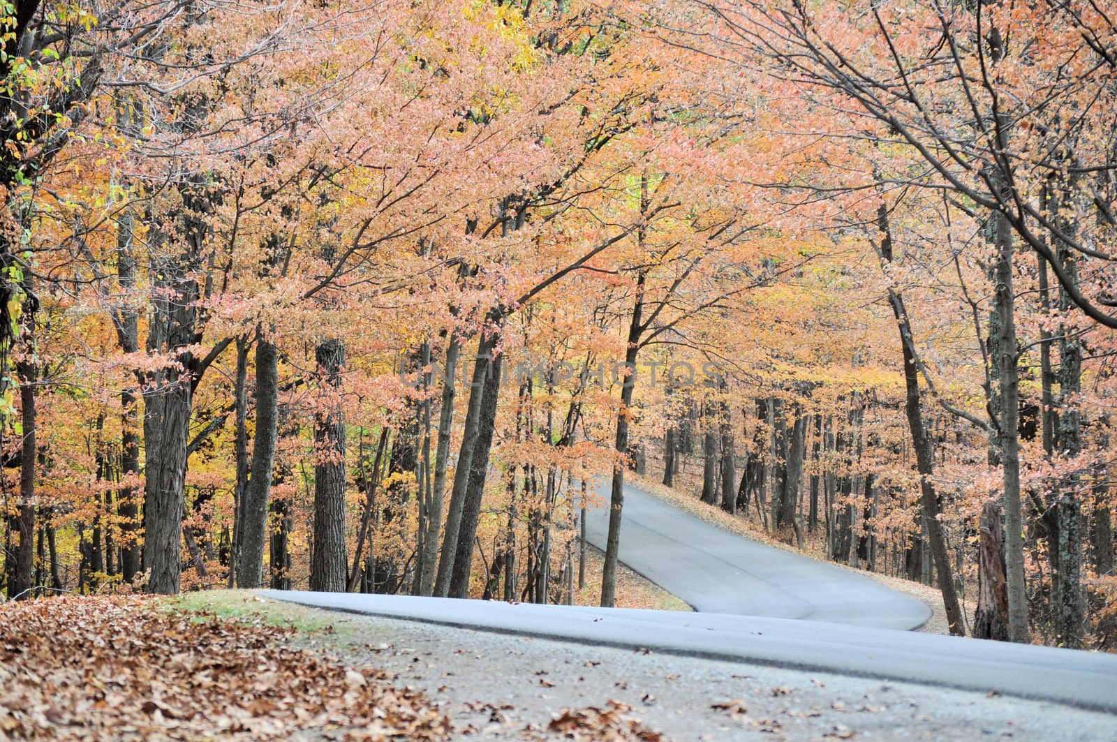 Brown County State Park