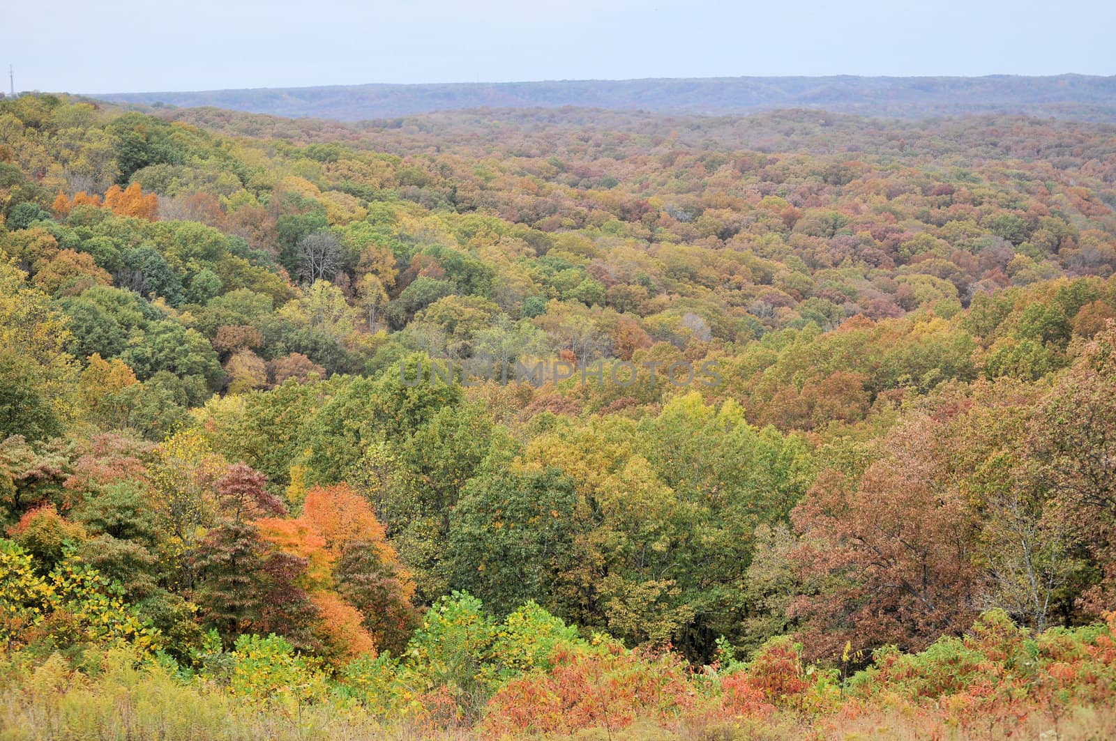 Brown County State Park by RefocusPhoto