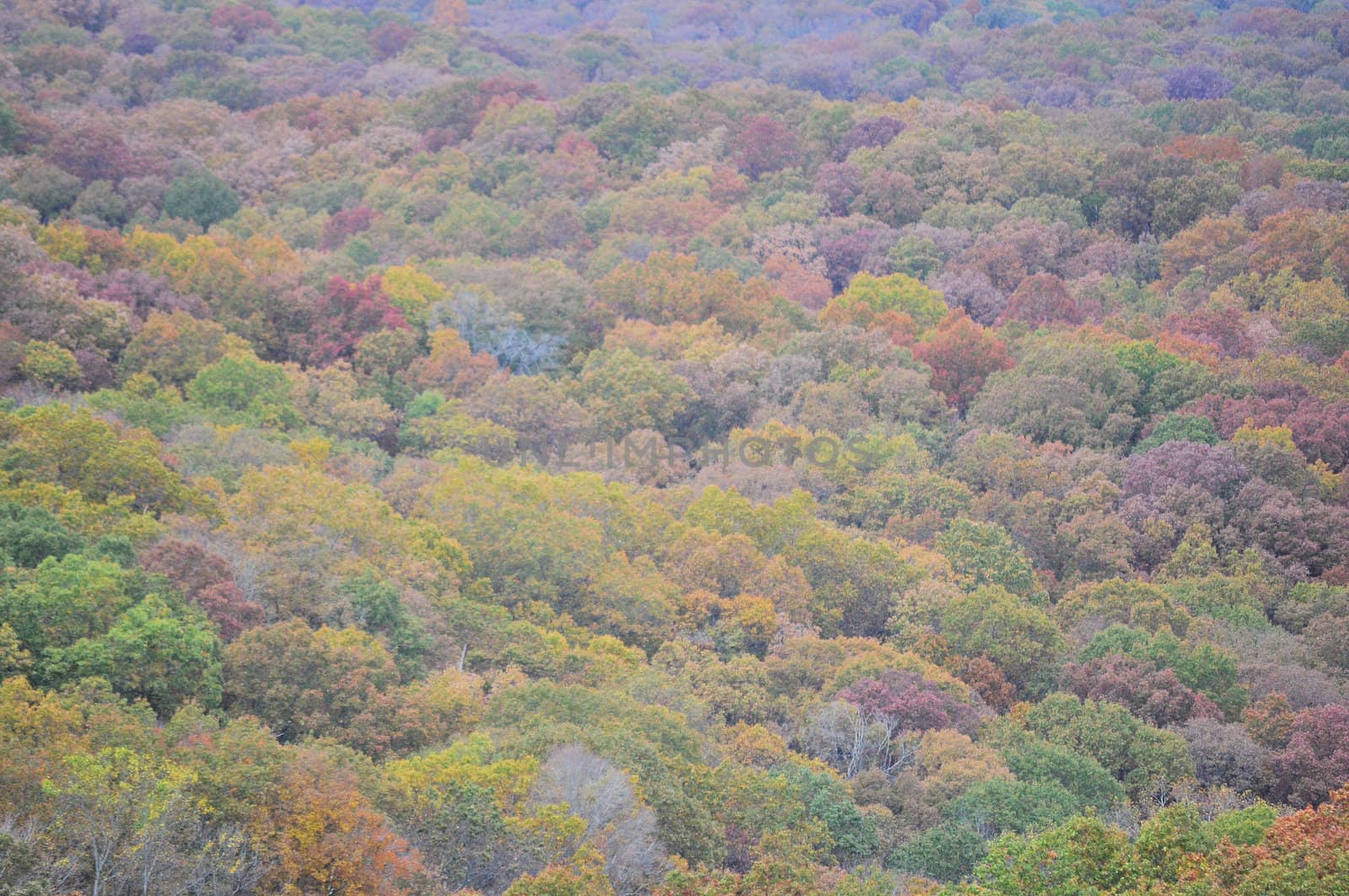 Brown County State Park by RefocusPhoto