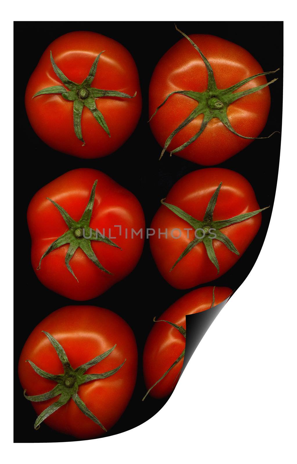 tomatoes curl distortion by keko64