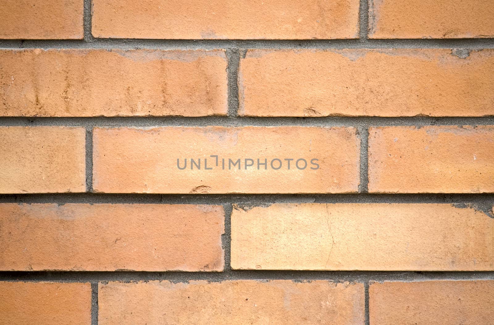 Interesting background is a wall of brown brick.