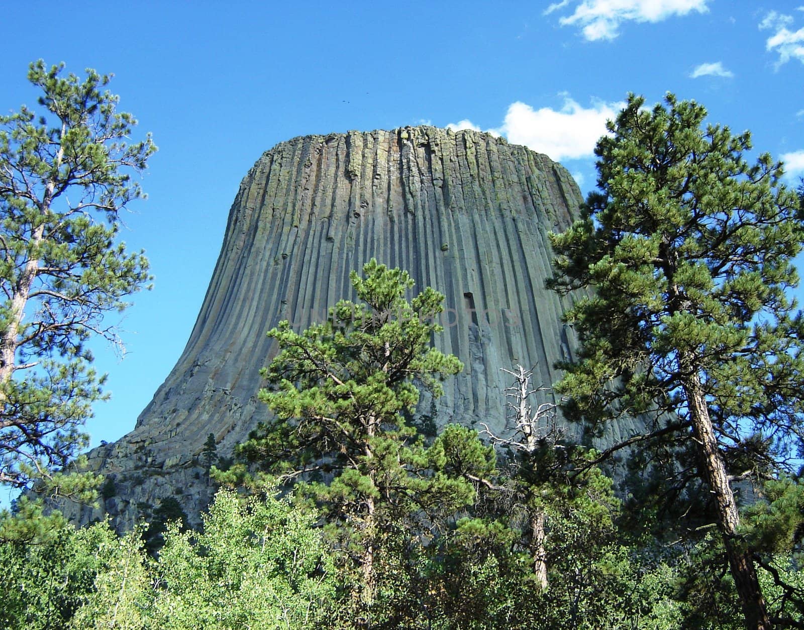 Devils Tower