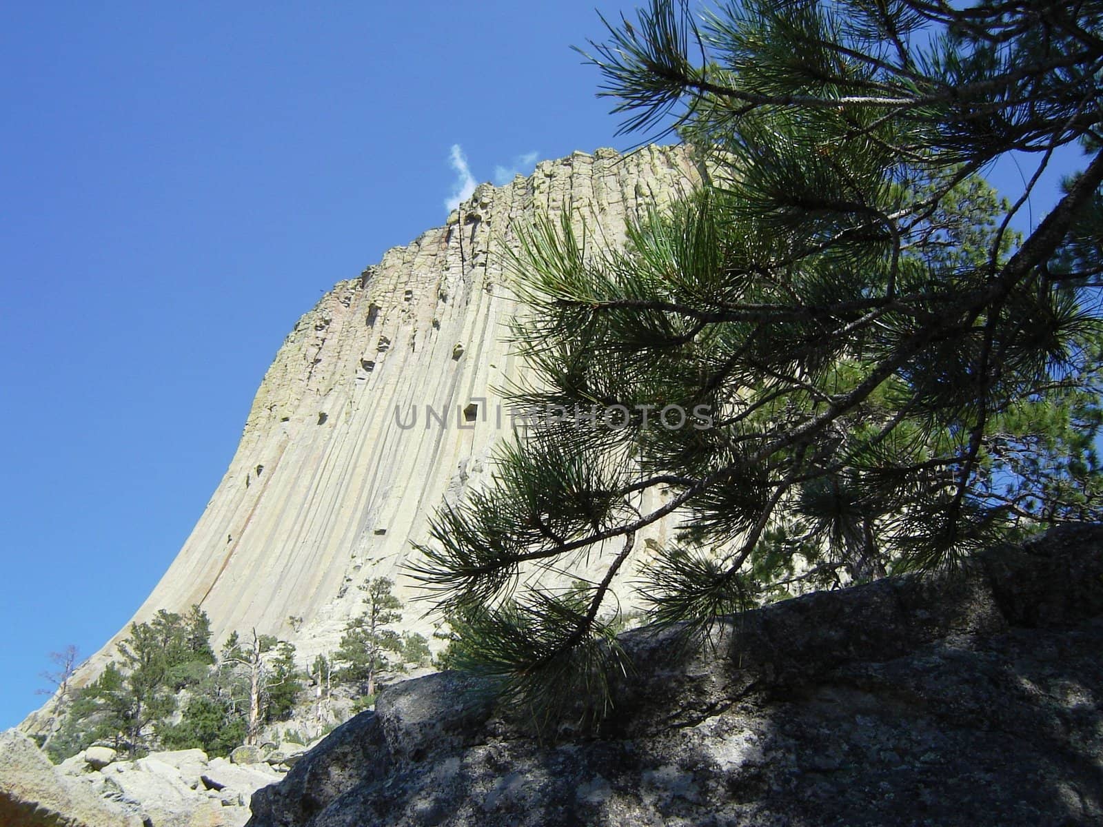 Devils Tower