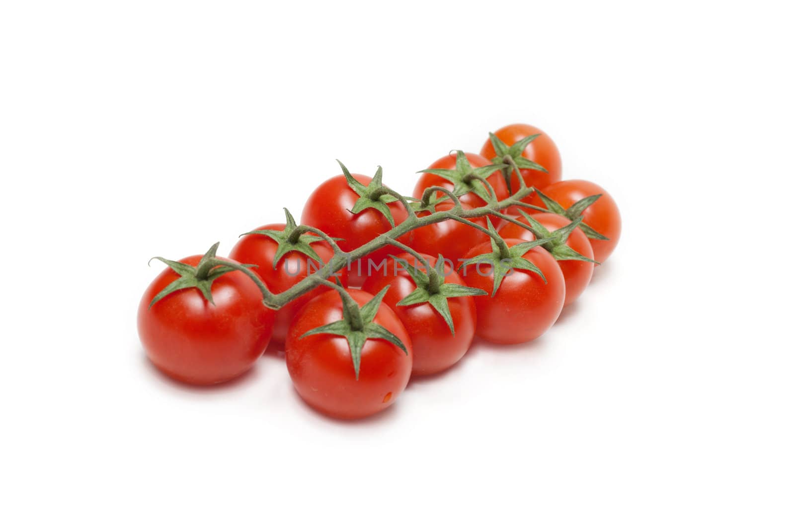 Red tomatoes cherry on green branch insulated on white background