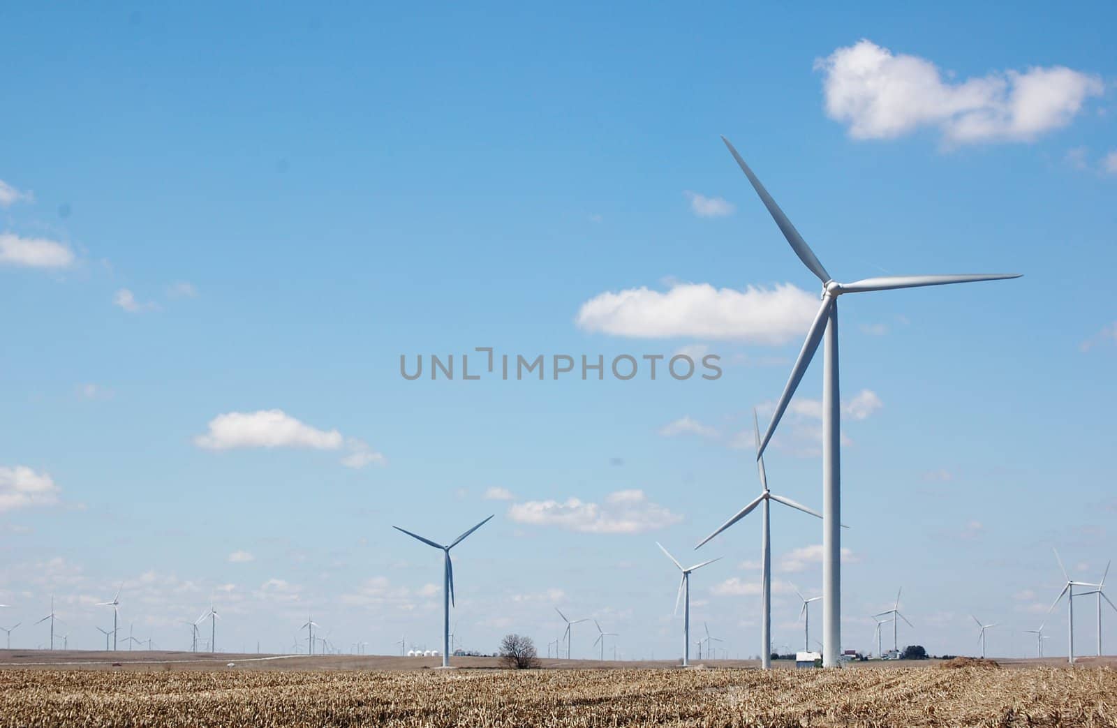 Wind Turbines by RefocusPhoto