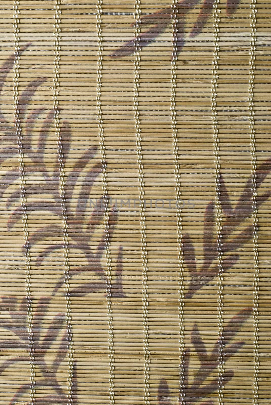 Bamboo mat texture. by angelsimon