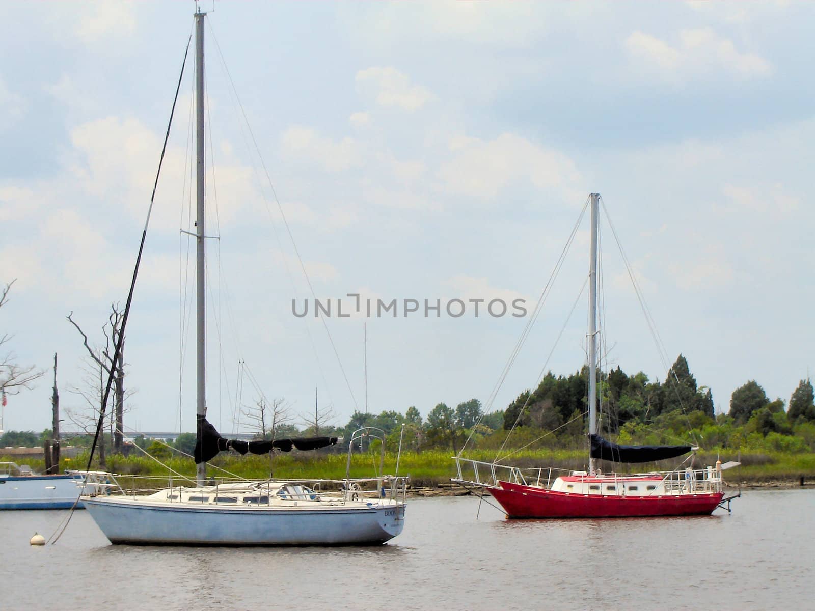 Sailboats by RefocusPhoto