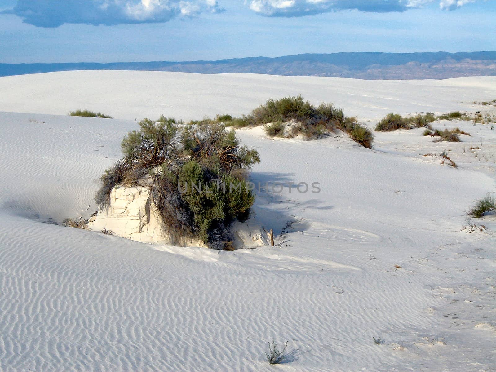 White Sands