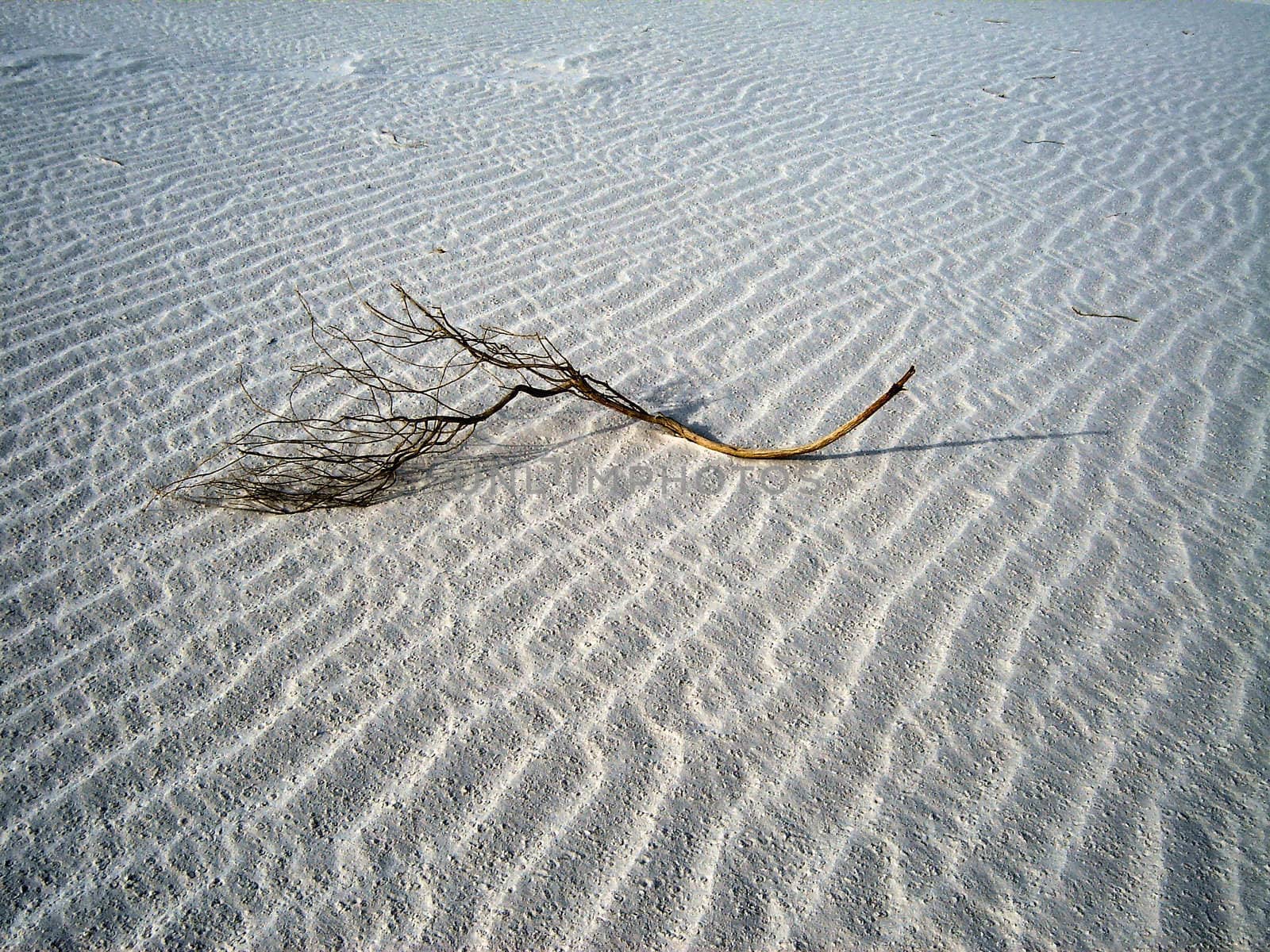 White Sands by RefocusPhoto