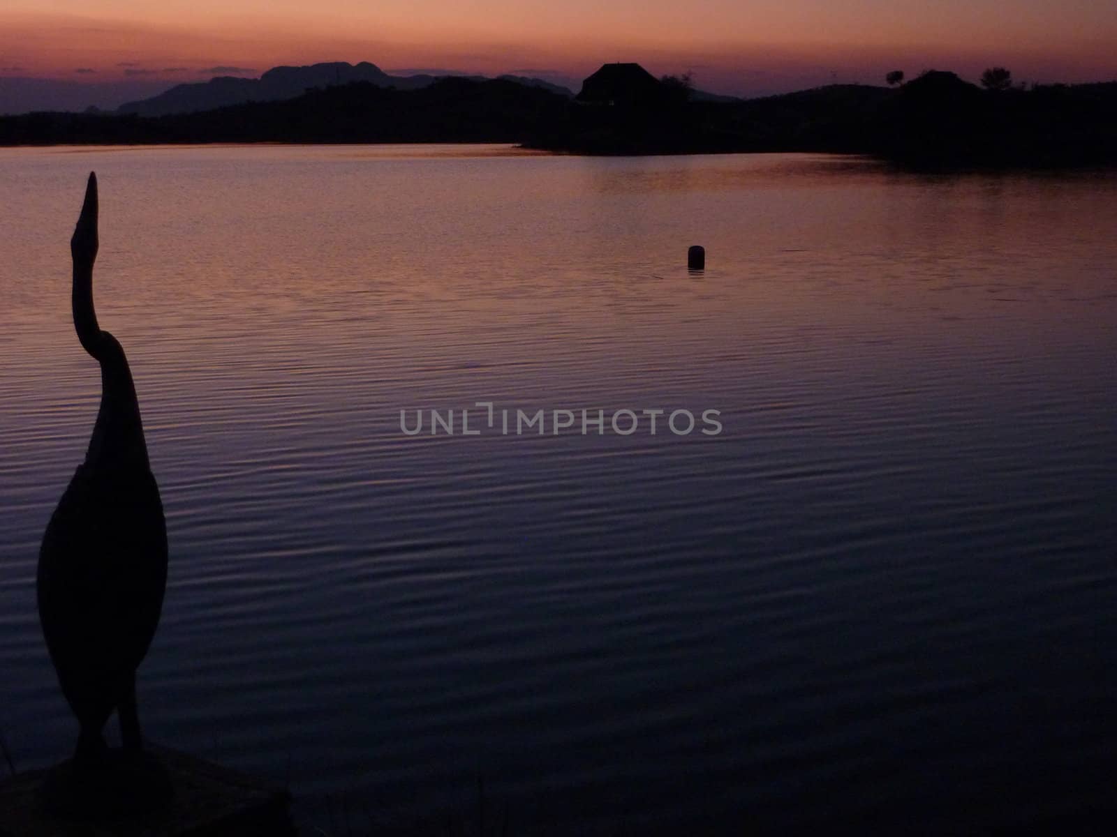 Bird statue in front a lake in Namibia during the sunset