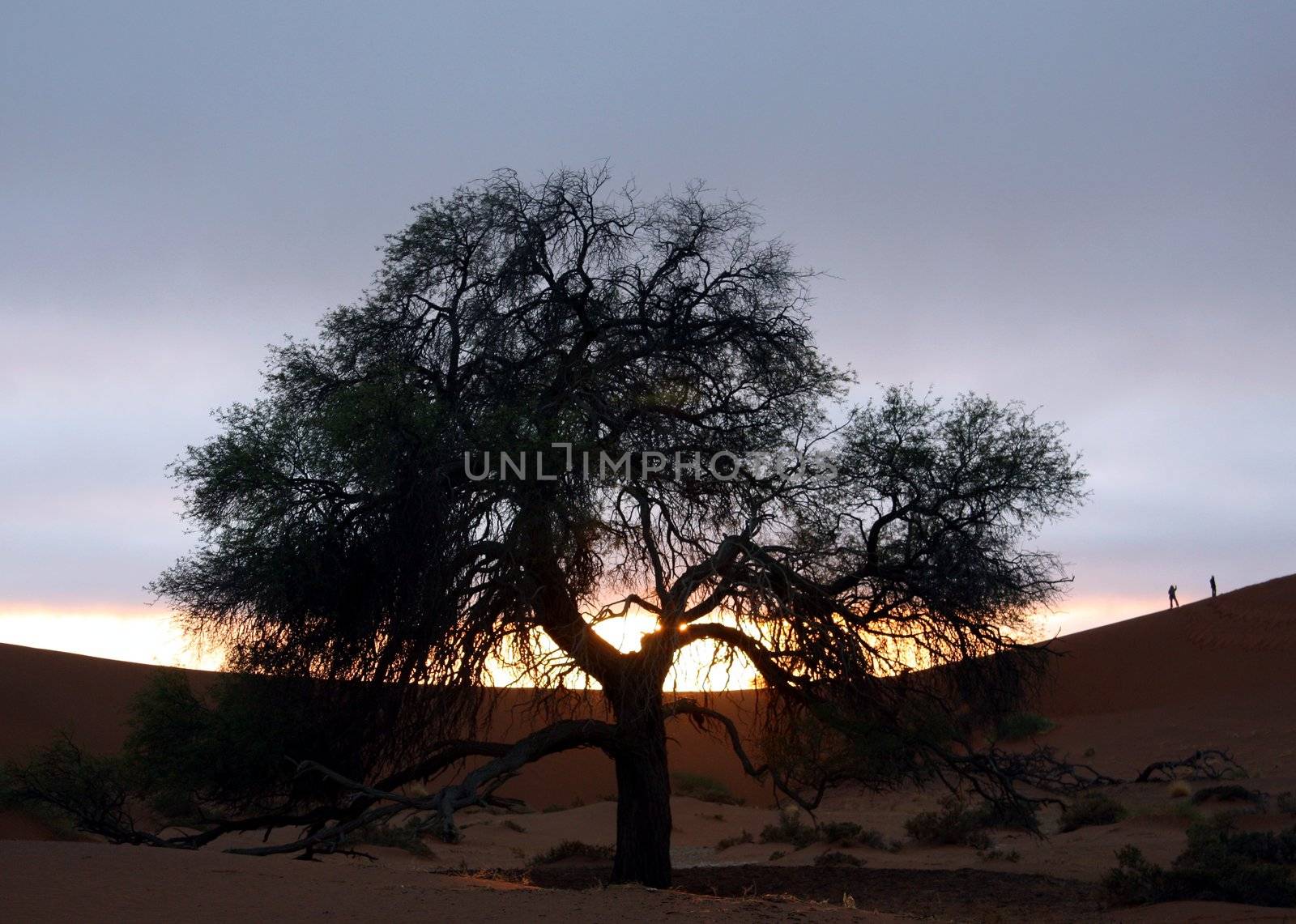 Sunrise in the desert: Sussusvlei, Namibia