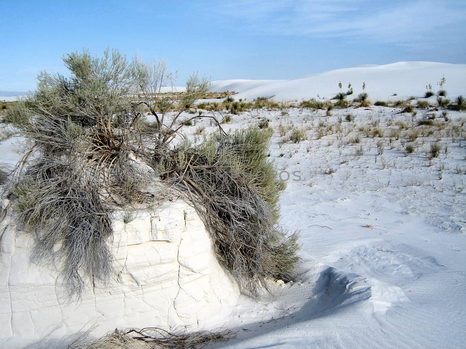 White Sands by RefocusPhoto