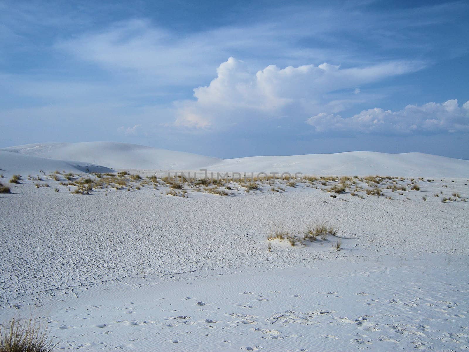 White Sands