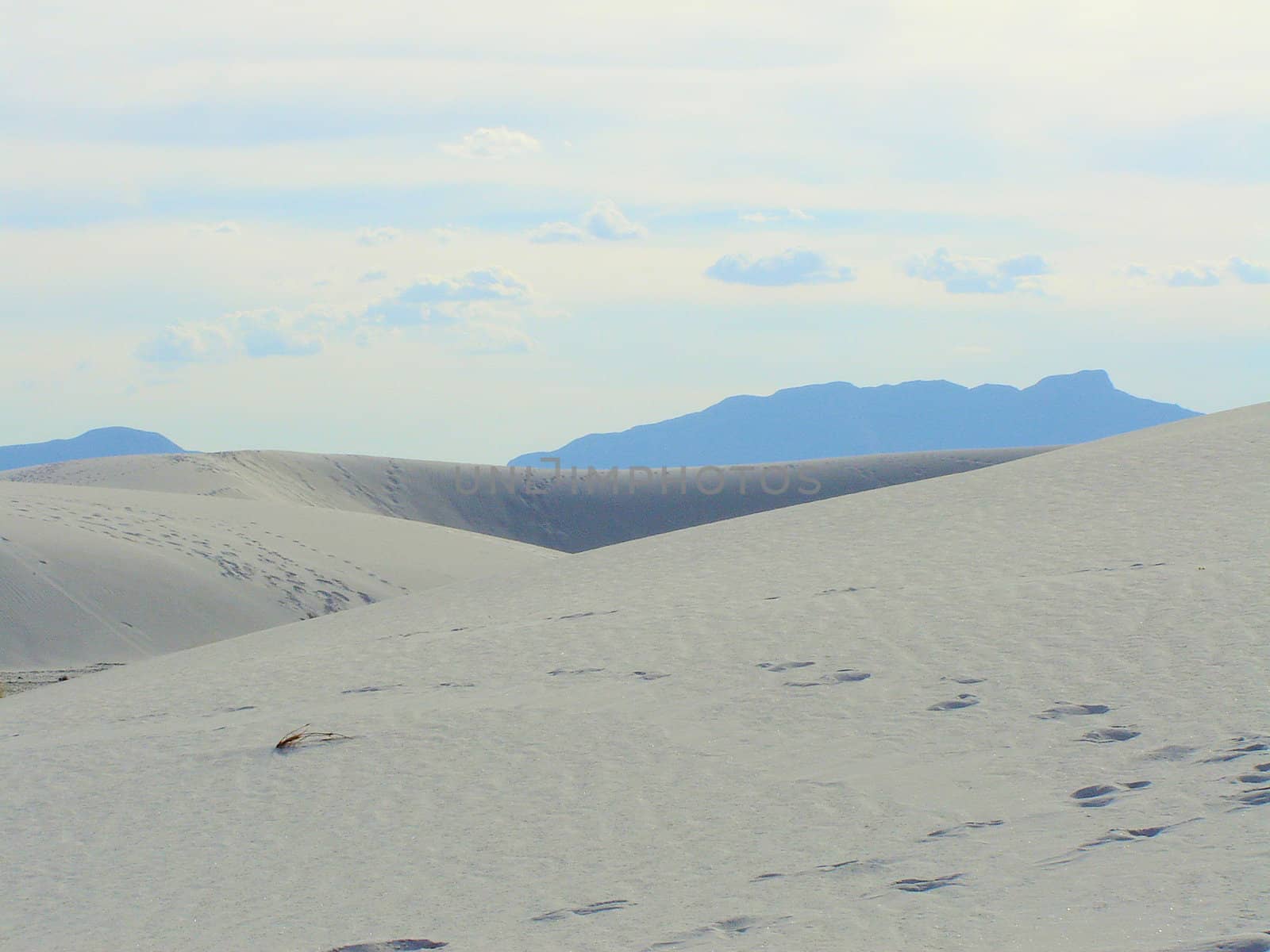 White Sands by RefocusPhoto