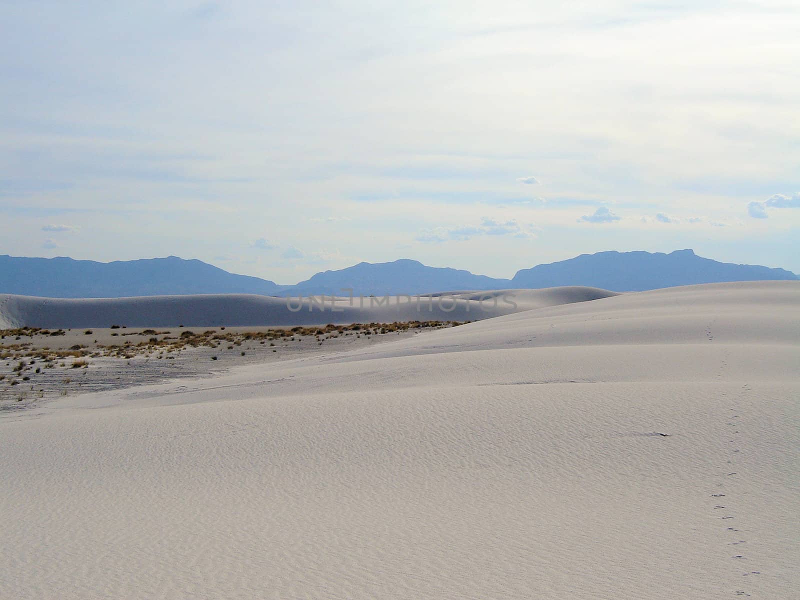 White Sands