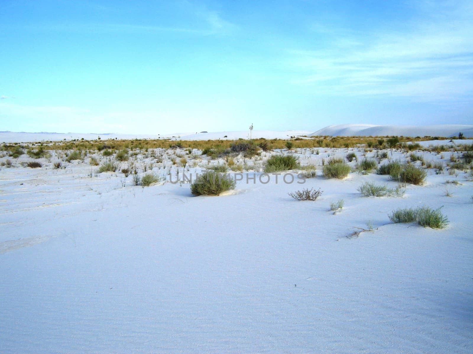 White Sands