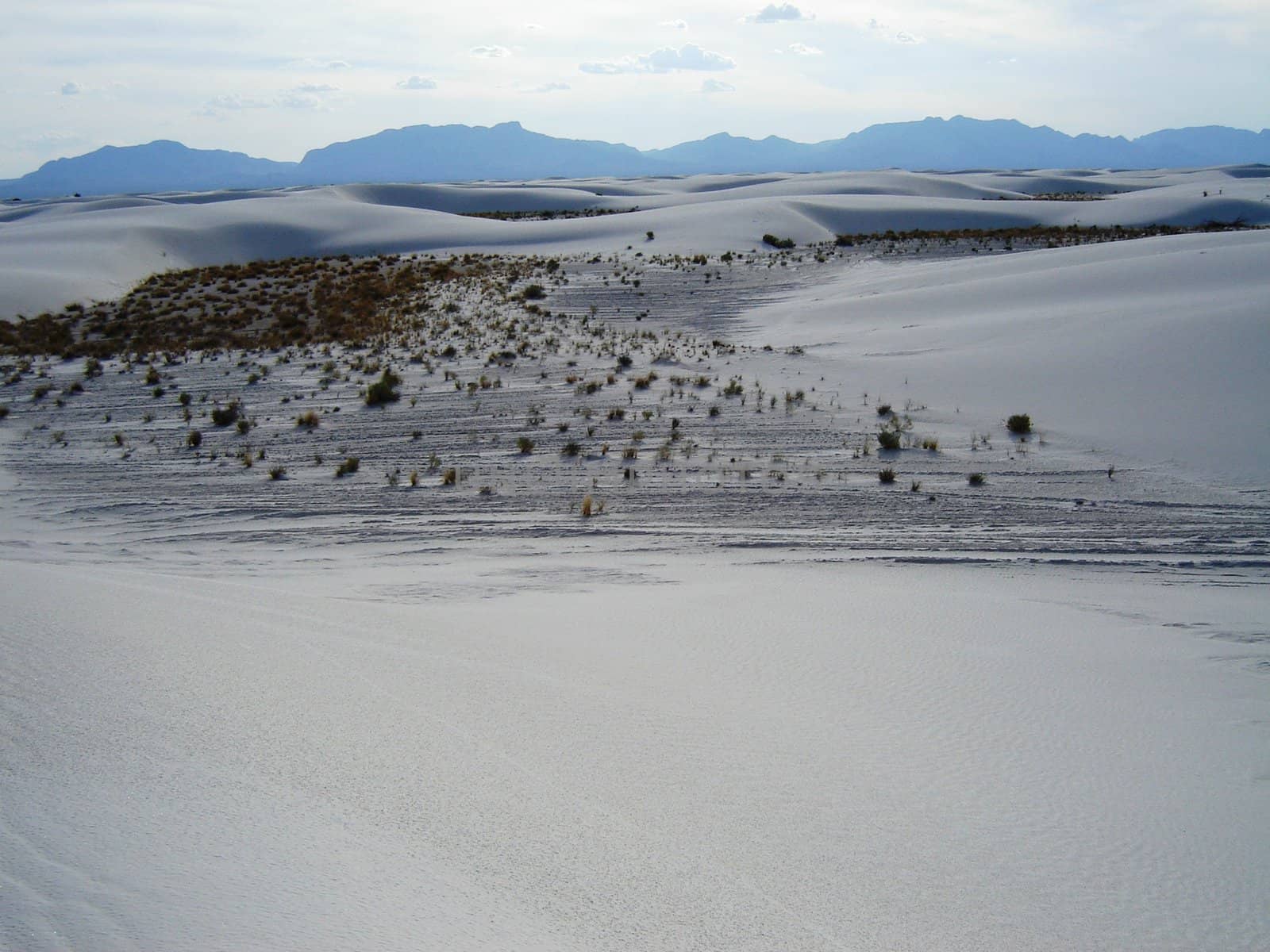 White Sands