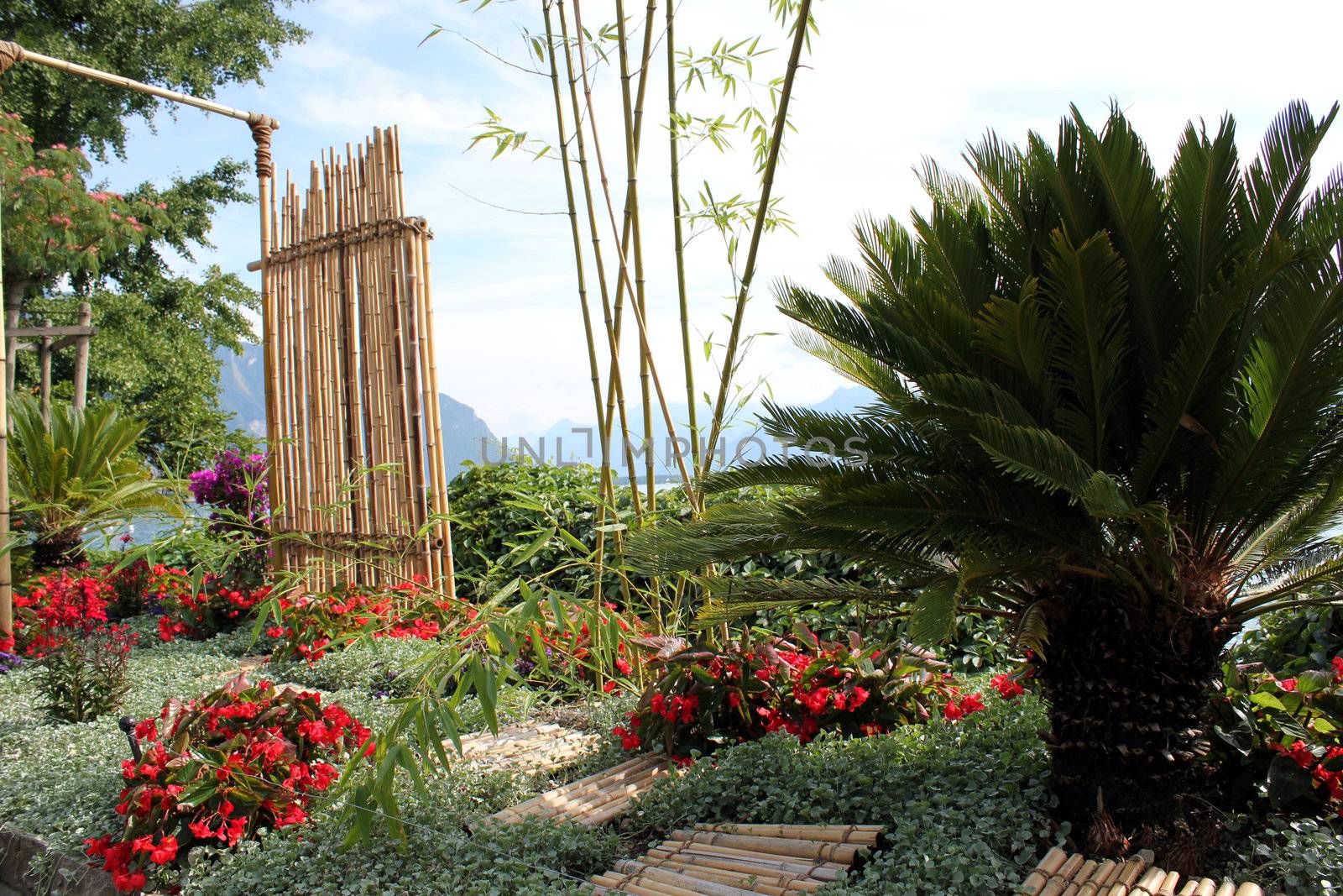 Paradisiac garden with bamboo, palm tree and red flowers in front of mountains