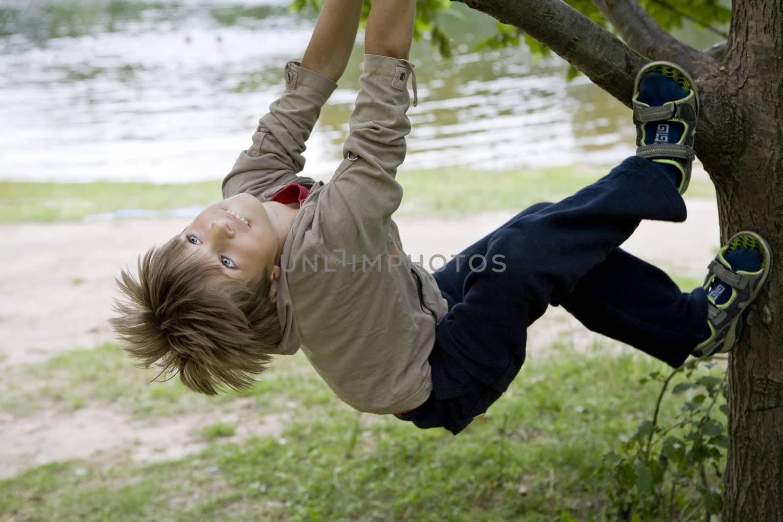 cute boy hanging from branch of tree. Summer time