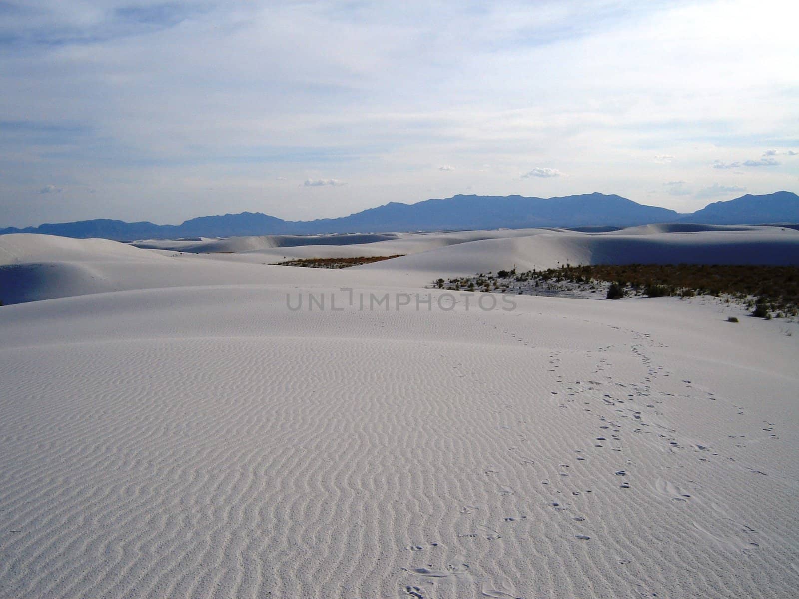 White Sands