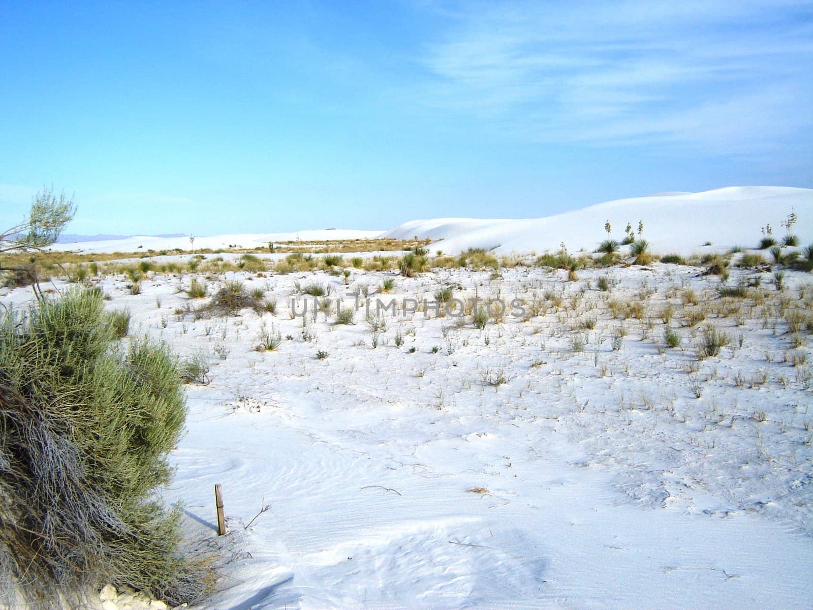 White Sands