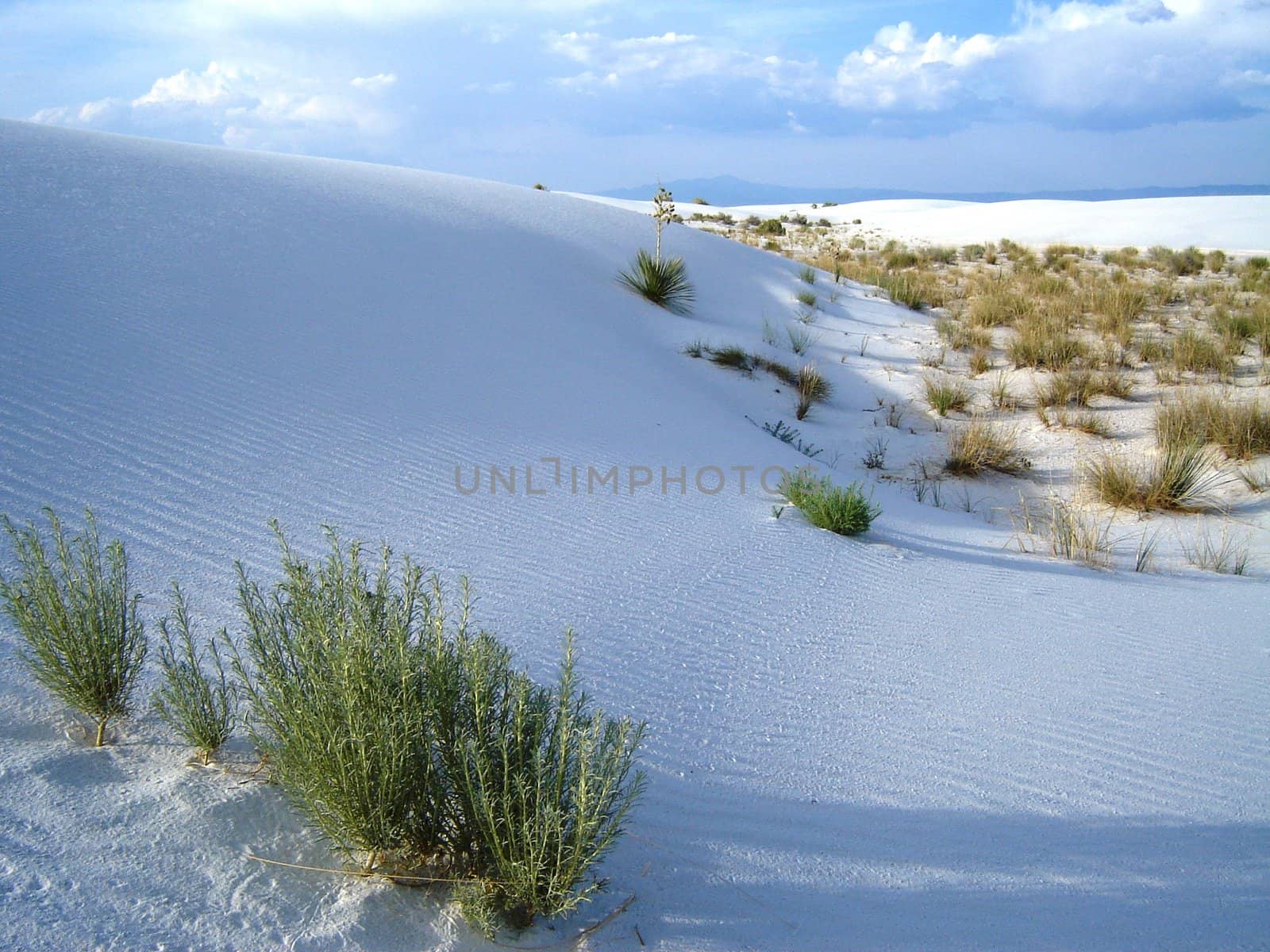 White Sands