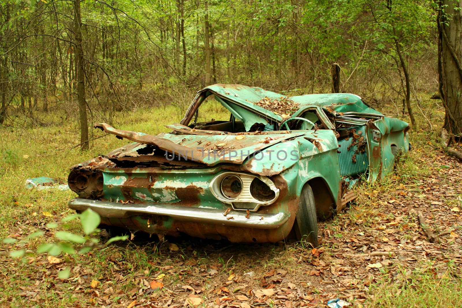 A Abandoned car in the woods