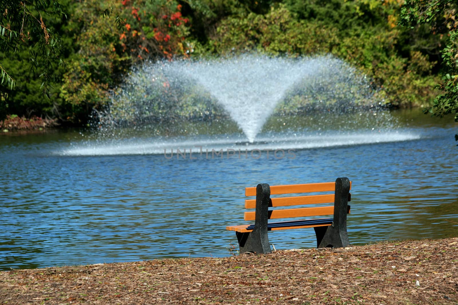 Park bench overlooking a fountain 