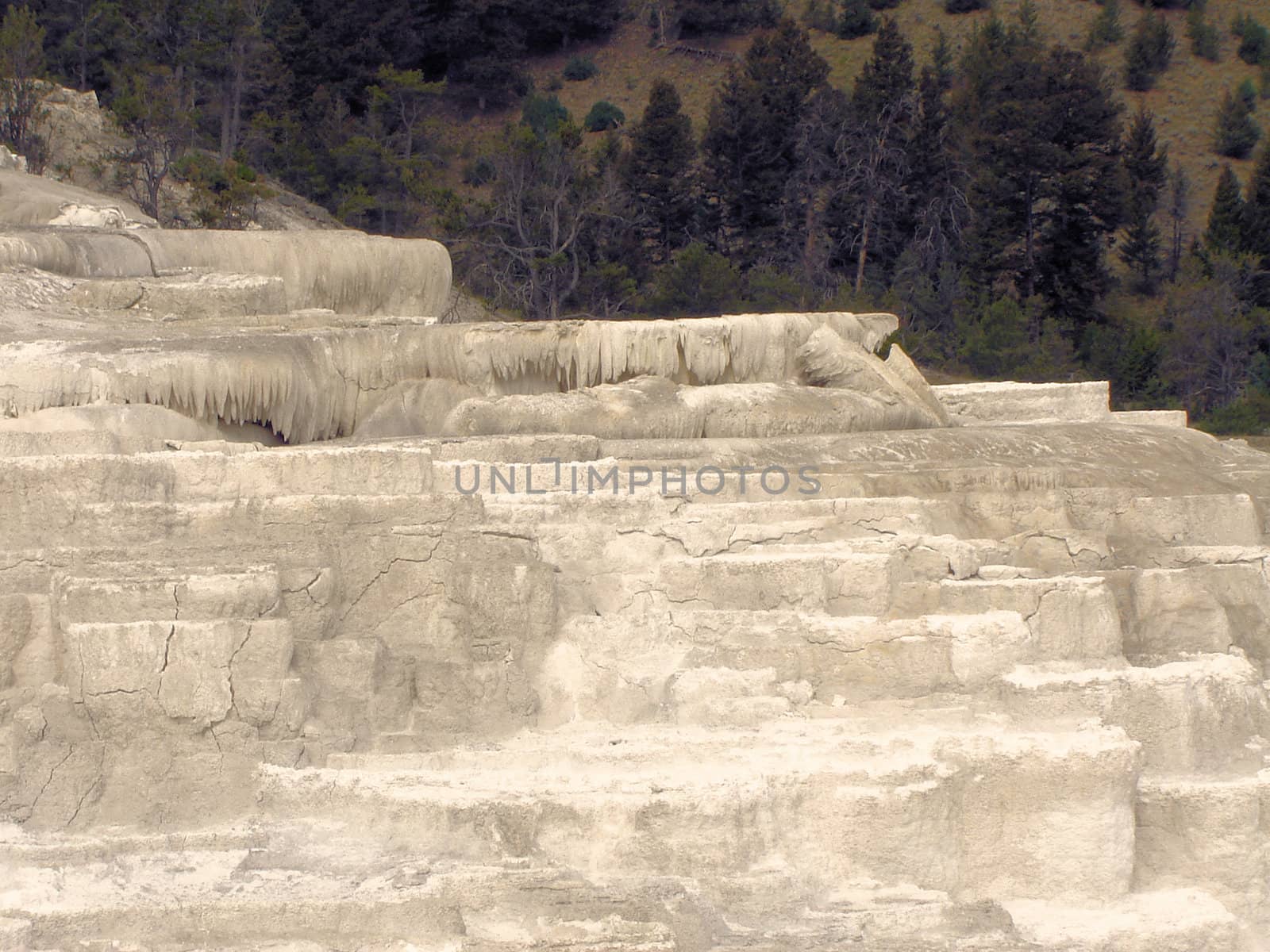 Yellowstone National Park View by RefocusPhoto