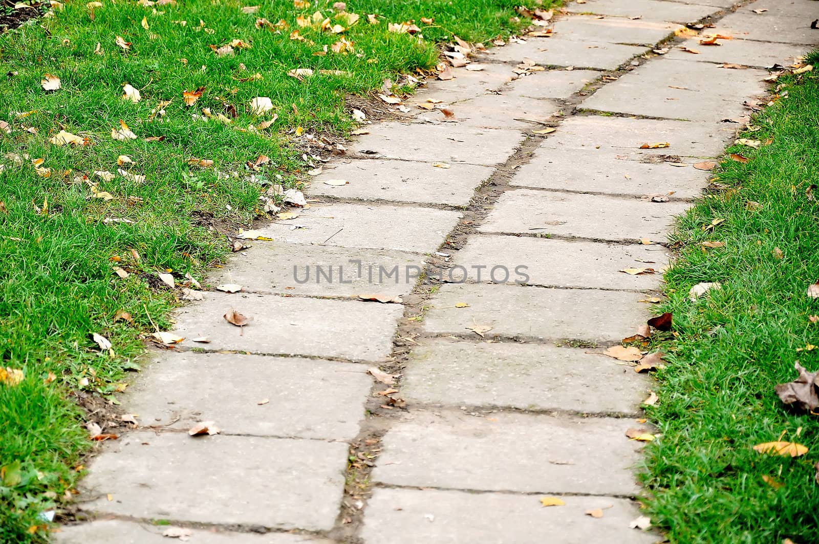 Little road in the middle of grass