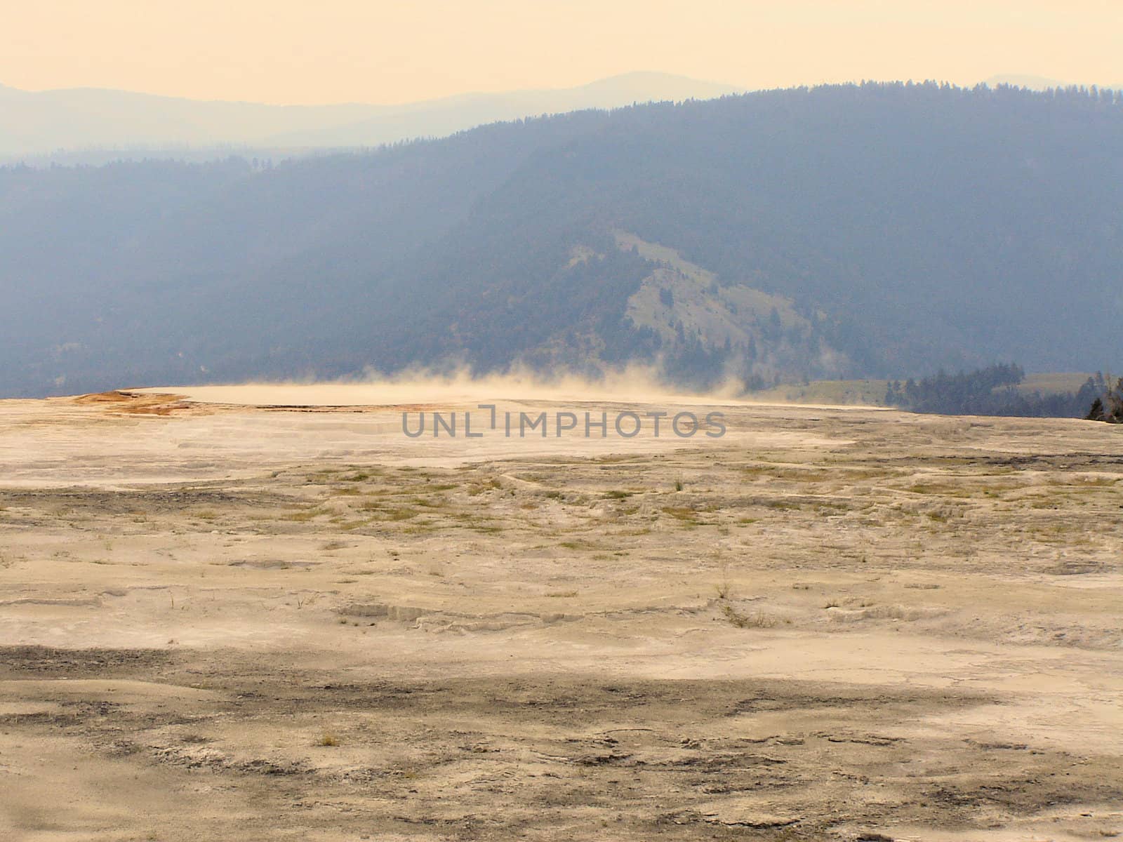 Yellowstone National Park View