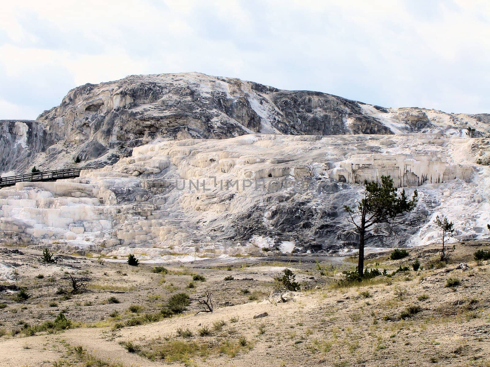 Yellowstone National Park View