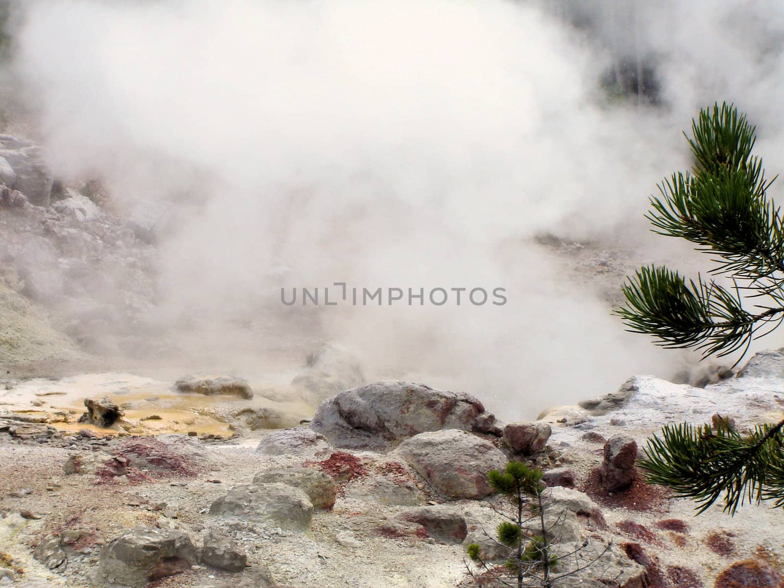 Yellowstone National Park View by RefocusPhoto