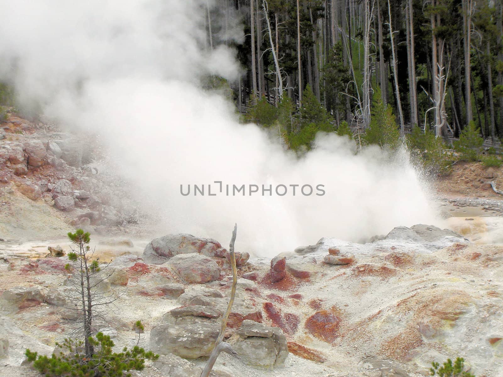 Yellowstone National Park View by RefocusPhoto