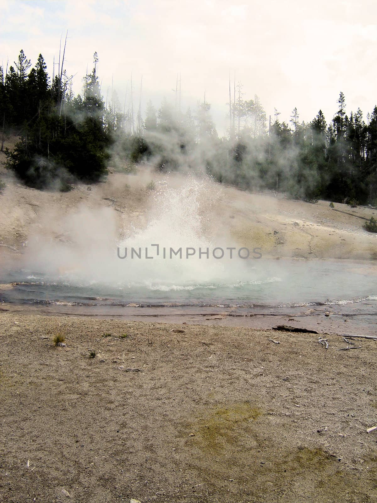 Yellowstone National Park View by RefocusPhoto