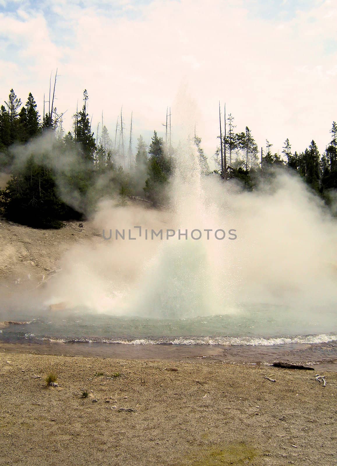 Yellowstone National Park View by RefocusPhoto