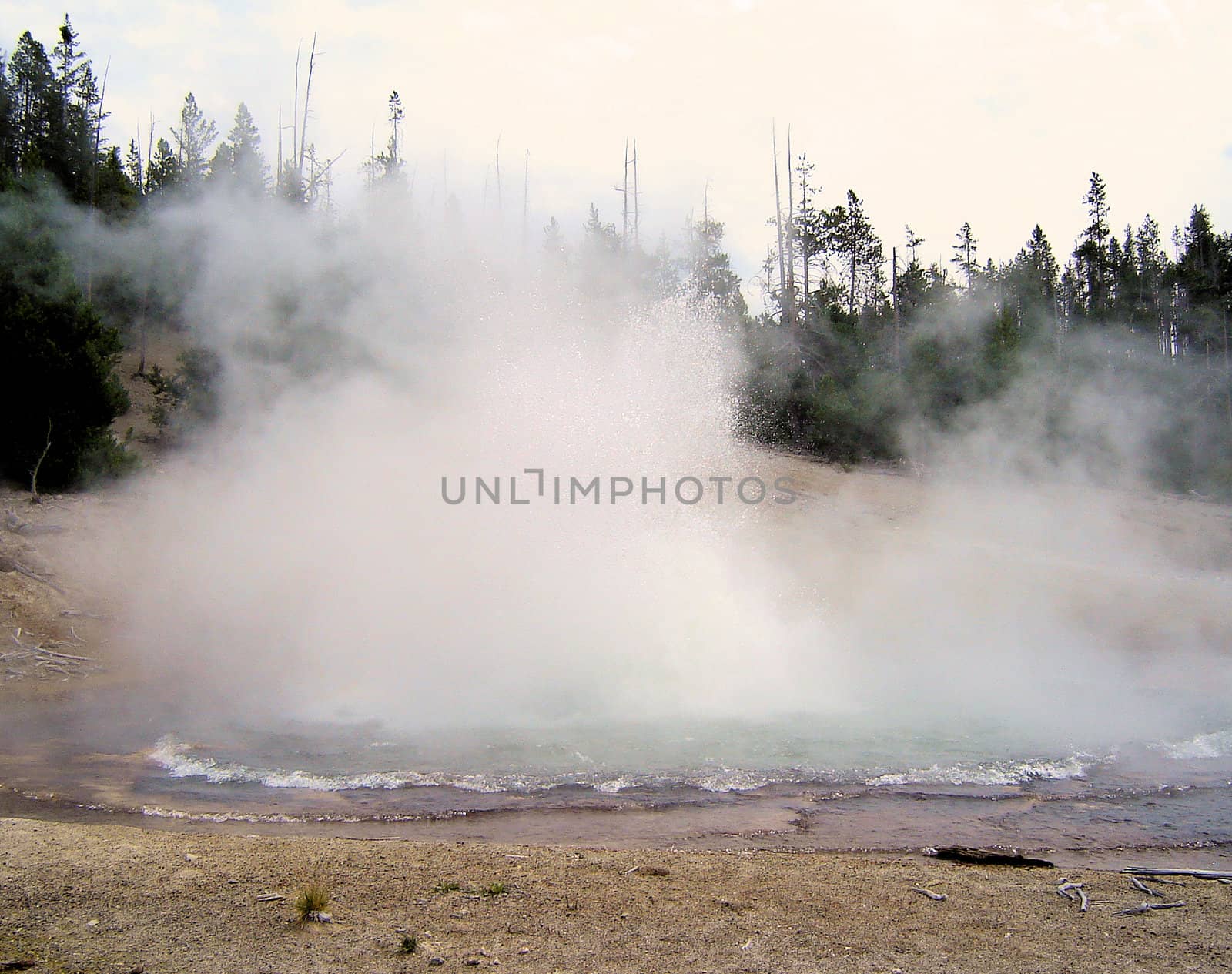 Yellowstone National Park View