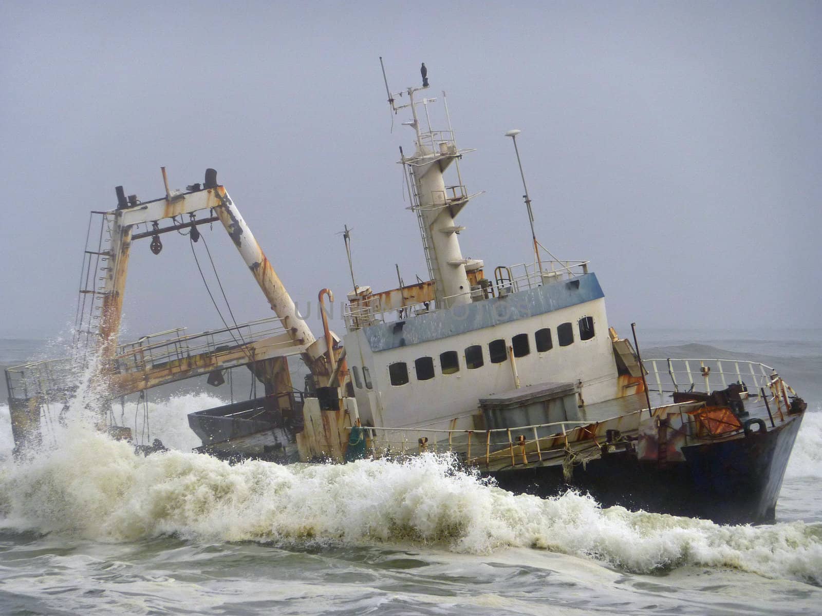 Relict in front of the Skeleton Coast, Namibia