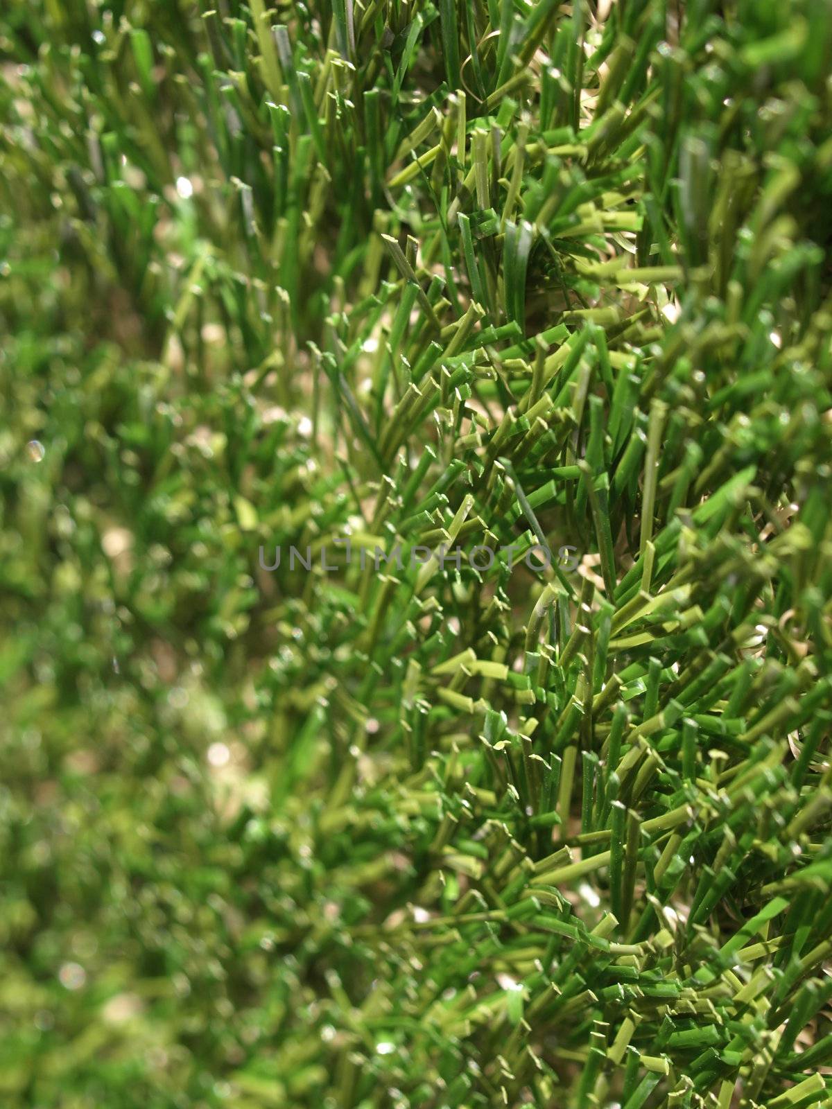 Detail of green grass artificial lawn meadow, useful as a background