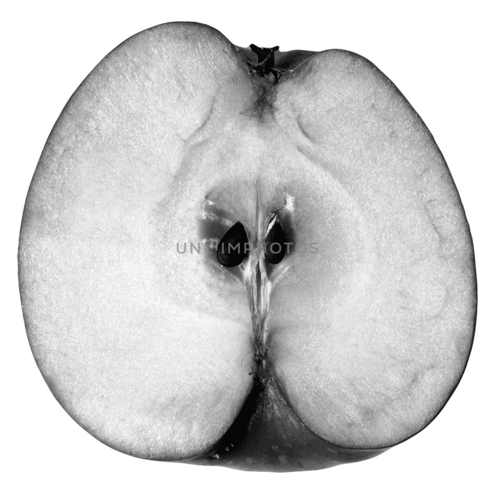 Granny Smith apple sliced in half isolated over white