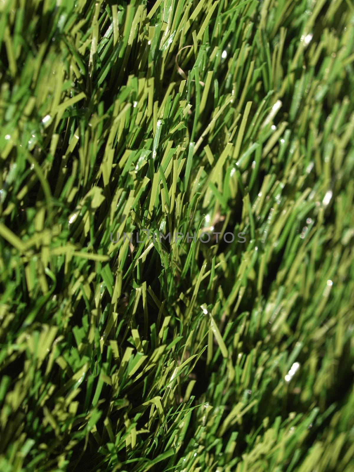 Artificial grass by claudiodivizia