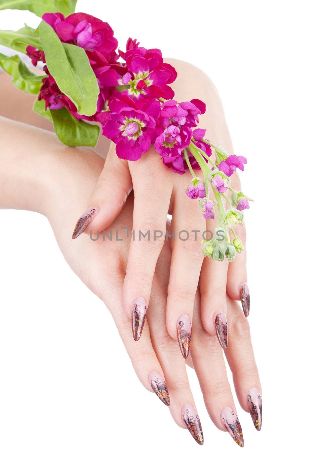 Closeup image of beautiful nails and woman fingers