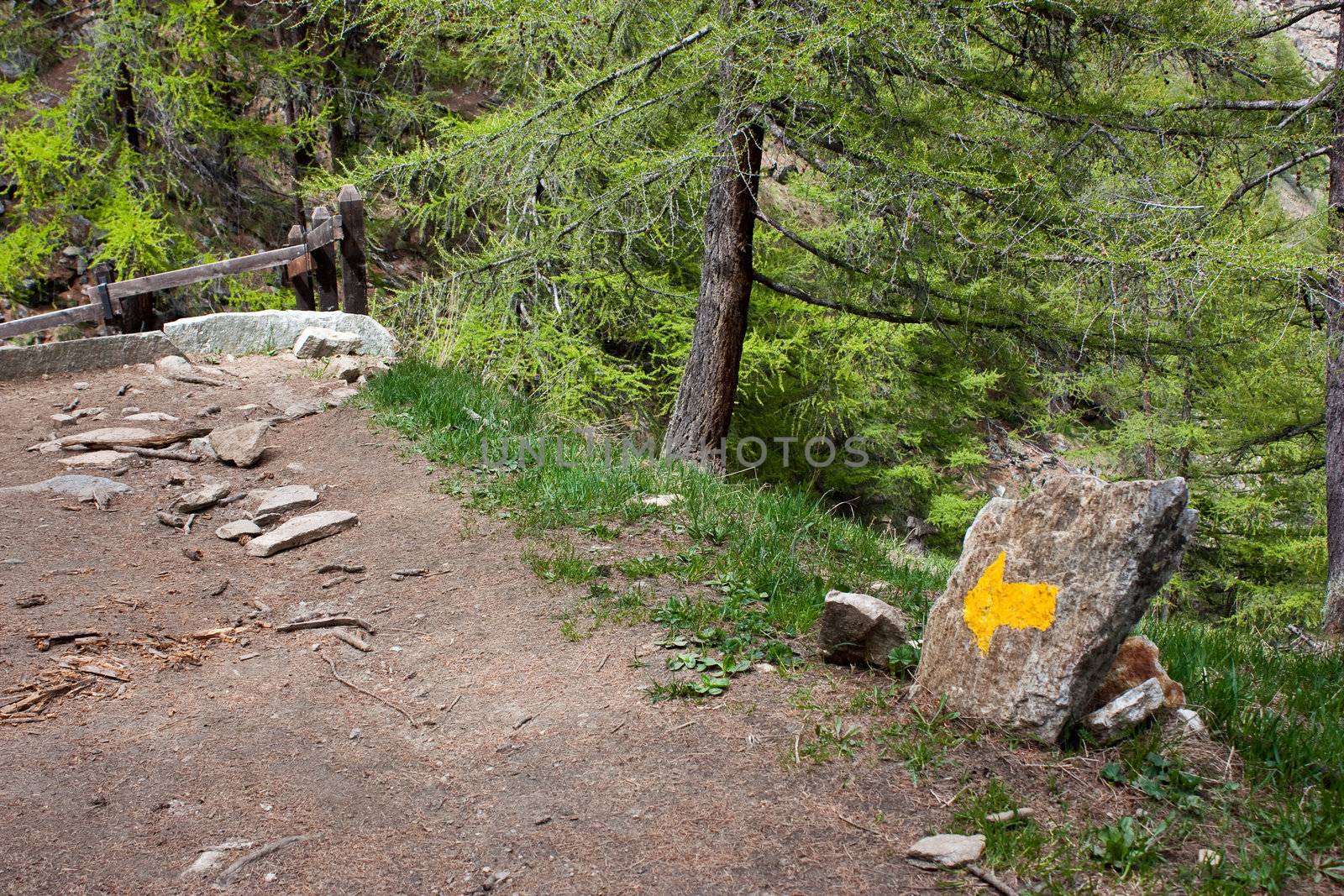 Gran Paradiso Park, Italy. Beautiful alpine mountain path close to Cogne town.