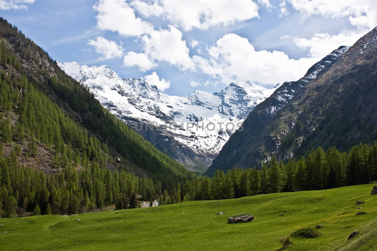 Gran Paradiso Park, Italy. Beautiful alpine panorama close to Cogne town.
